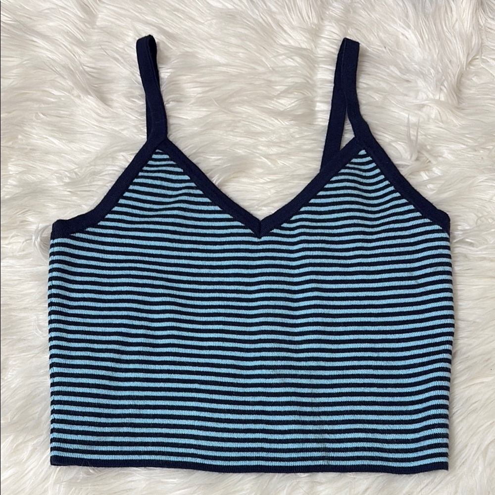 FLAWED L.A. Hearts Blue Striped Cropped Sweater Tank Size S